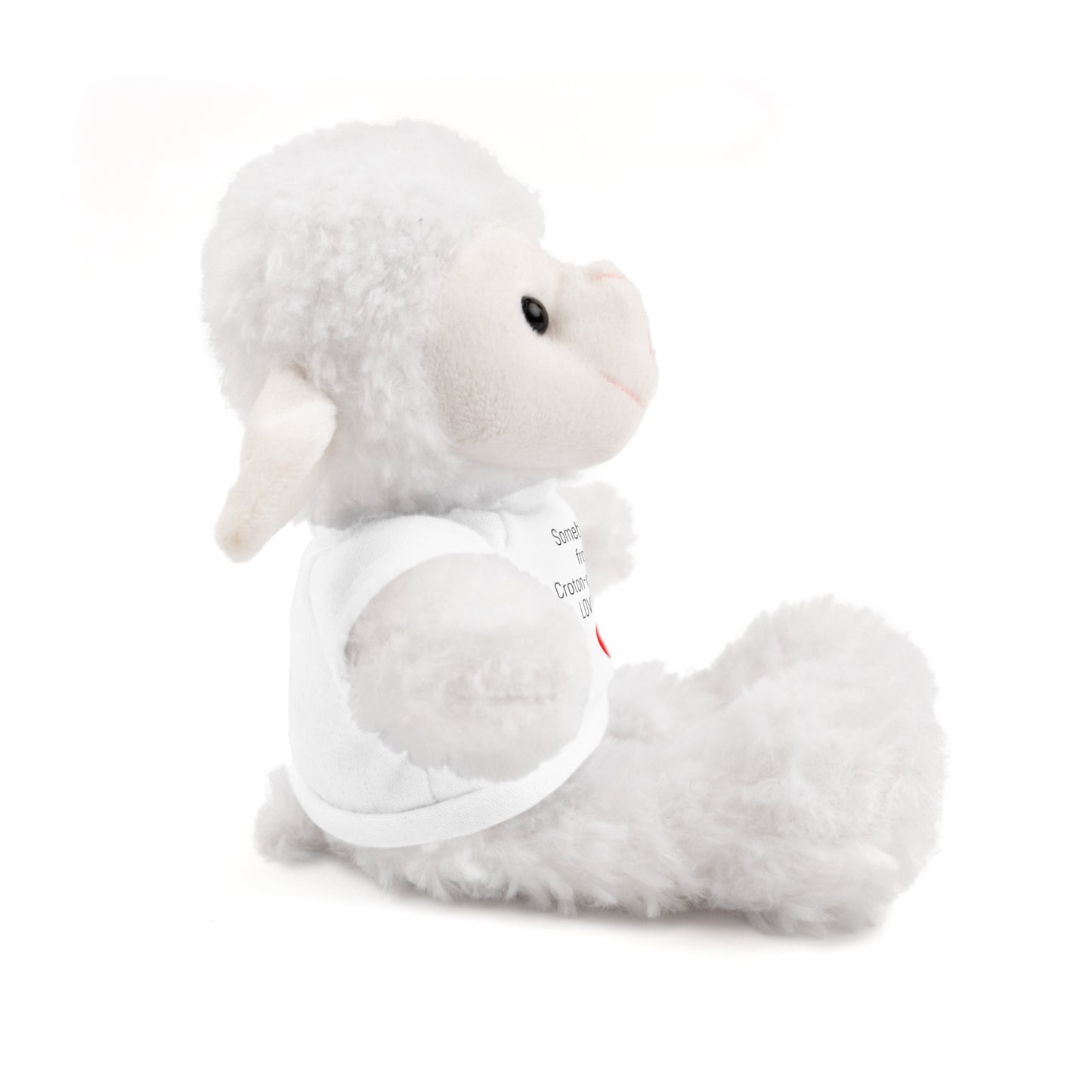 Some BUNNY from Croton-on-Hudson Loves you stuffie