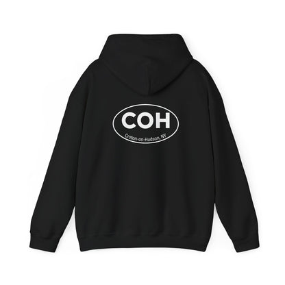 DAMNED pullover unisex hoodie / COH back