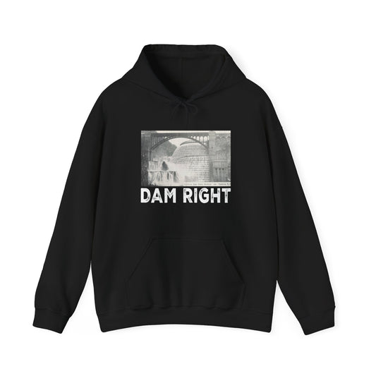 BESTSELLER: DAM RIGHT Hoodie (Pullover/Unisex)