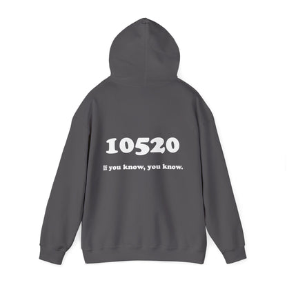 80's Dummy Light postcard / 10520 if you know pullover unisex hoodie