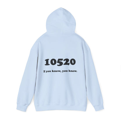 80's Dummy Light postcard / 10520 if you know pullover unisex hoodie
