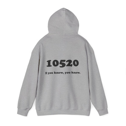 80's Dummy Light postcard / 10520 if you know pullover unisex hoodie