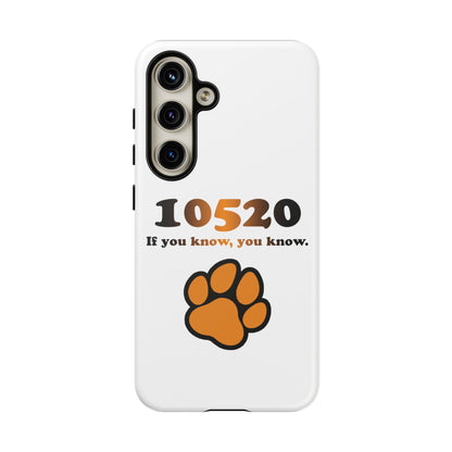 10520 Tiger paw iPhone / Samsung Tough Cases