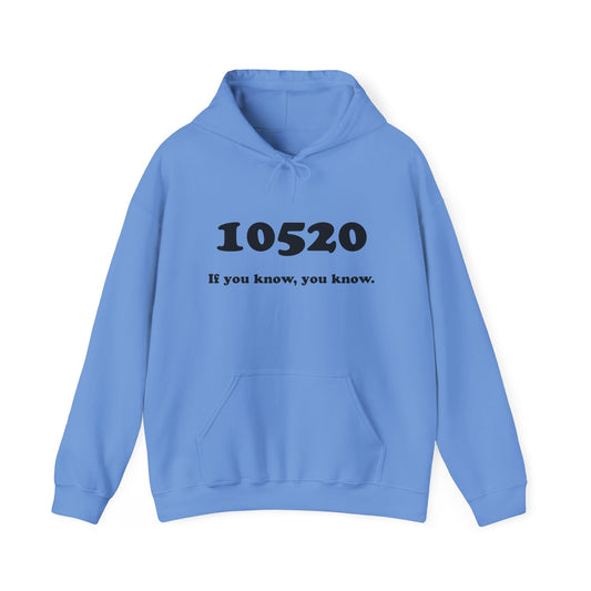 10520 if you know, you know unisex hoodie