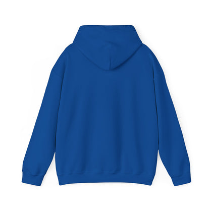 BESTSELLER: DAM RIGHT Hoodie (Pullover/Unisex)