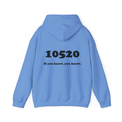 80's Dummy Light postcard / 10520 if you know pullover unisex hoodie