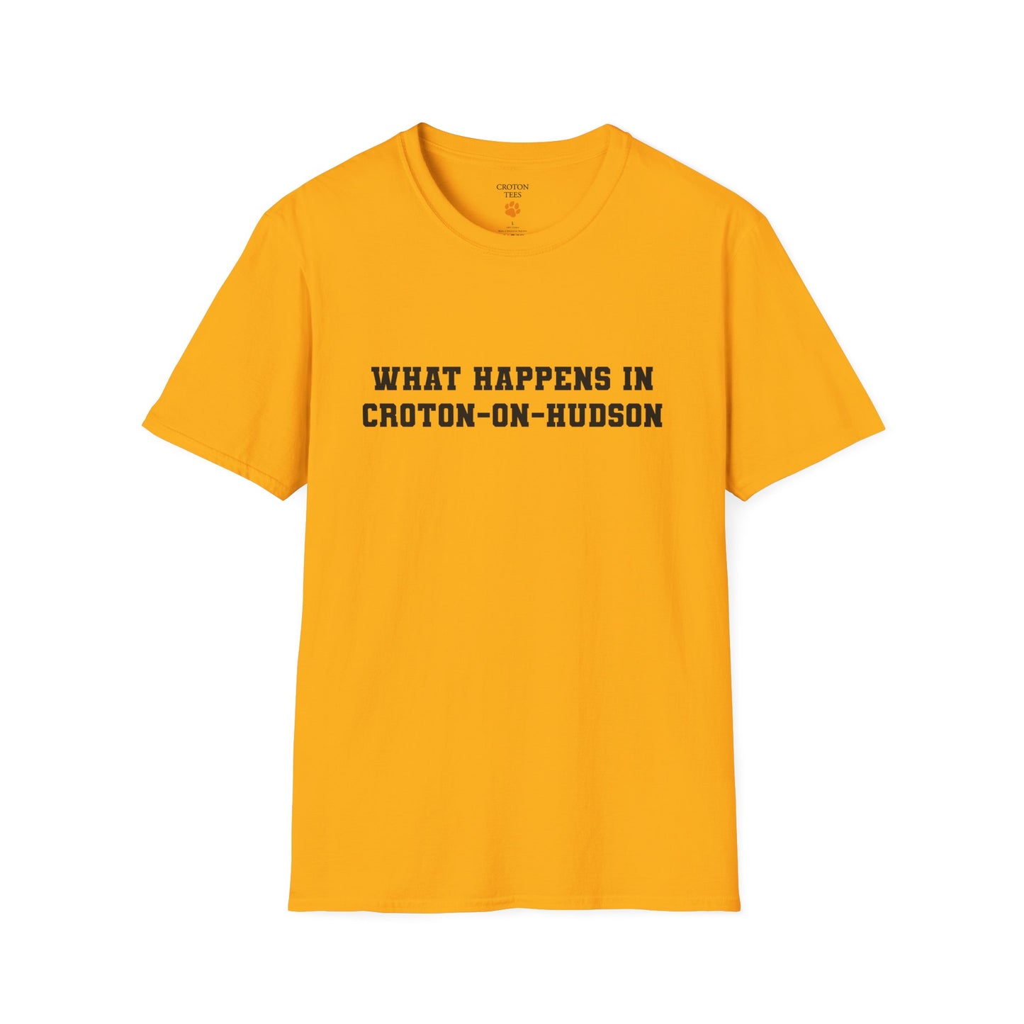 Mens / Unisex Tee "What Happens in Croton-on-Hudson stays in Croton-on-Hudson" light colors