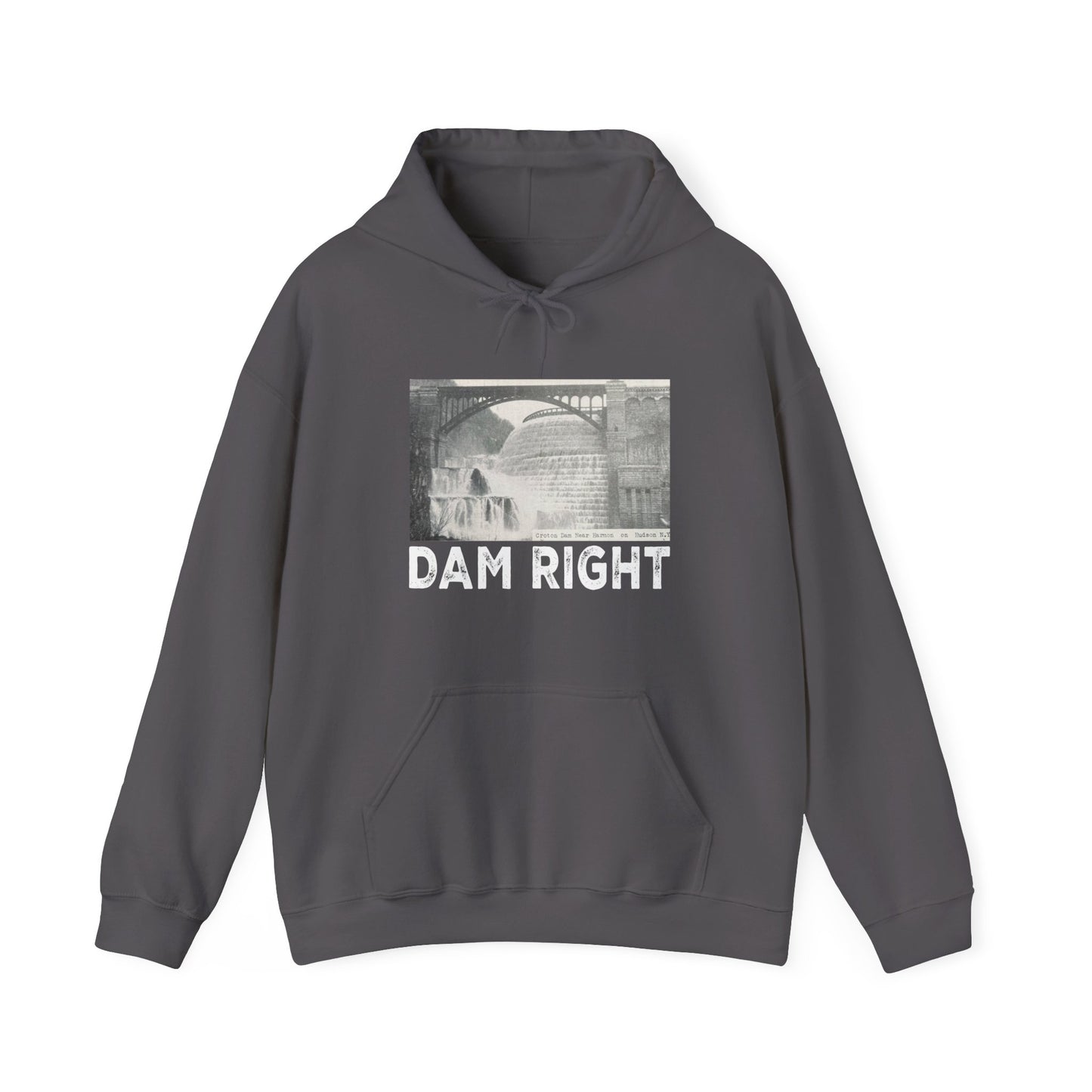 BESTSELLER: DAM RIGHT Hoodie (Pullover/Unisex)