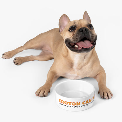 Croton Canine Pet Bowl