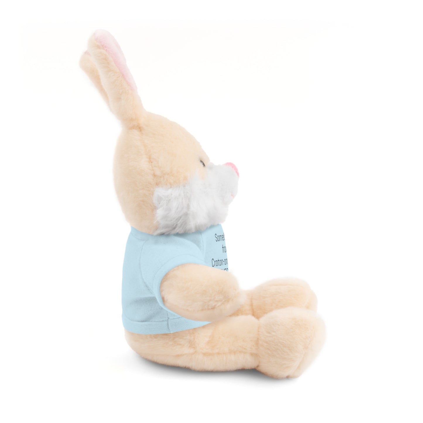 Some BUNNY from Croton-on-Hudson Loves you stuffie