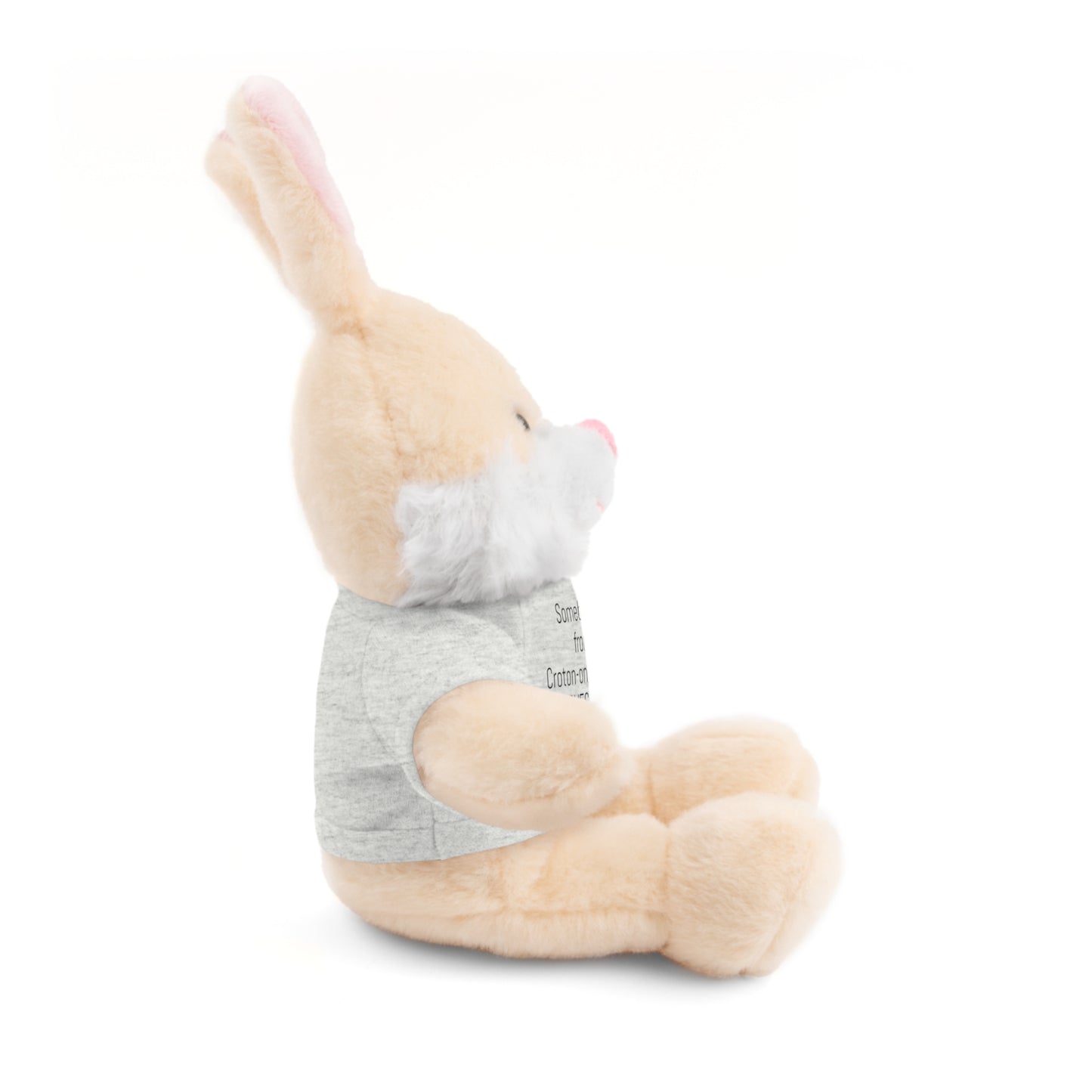 Some BUNNY from Croton-on-Hudson Loves you stuffie