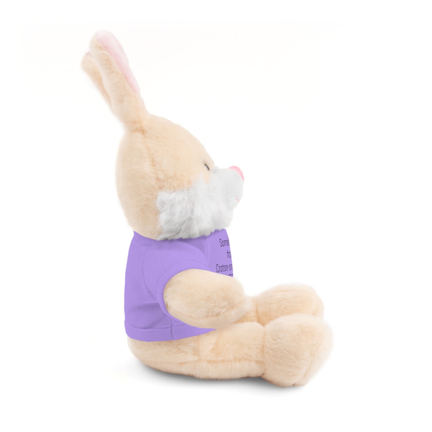 Some BUNNY from Croton-on-Hudson Loves you stuffie