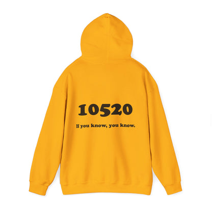 80's Dummy Light postcard / 10520 if you know pullover unisex hoodie