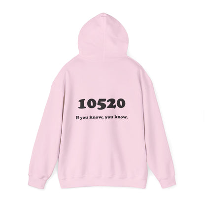 80's Dummy Light postcard / 10520 if you know pullover unisex hoodie